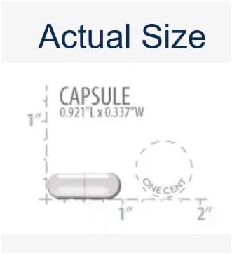 Neuro-Mag Magnesium L-Threonate, Magnesium L-Threonate, Memory Health, Quick Thinking, Cognitive Health Support, Vegetarian, Non-Gmo, 90 Vegetarian Capsules